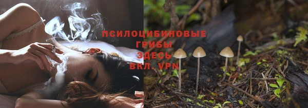 дживик Медногорск