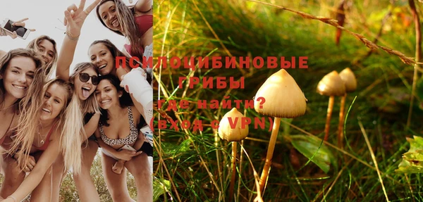 а пвп мука Медвежьегорск