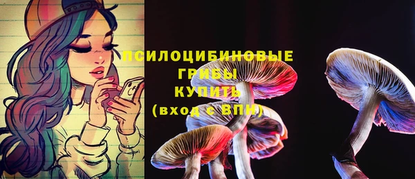 дживик Медногорск