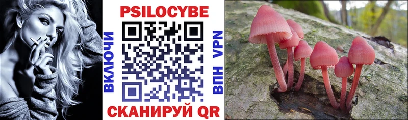 Купить Сланцы Псилоцибиновые грибы GOLDEN TEACHER